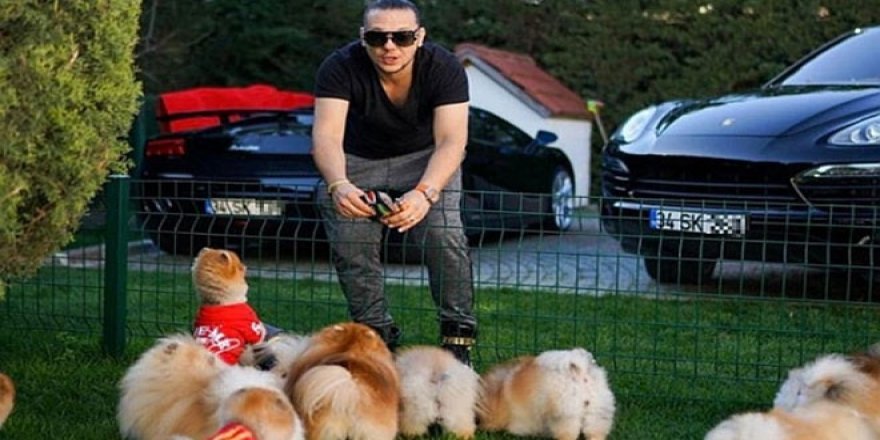 30 Bin TL'ye satılan 'Pomeranianlar koronavirüslü' iddiası sosyeteyi ayağa kaldırdı!