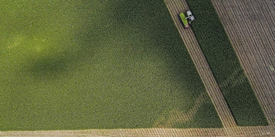 Çiftçiye Verilen Destekler Tarımsal Hasılaya Zirve Yaptırdı