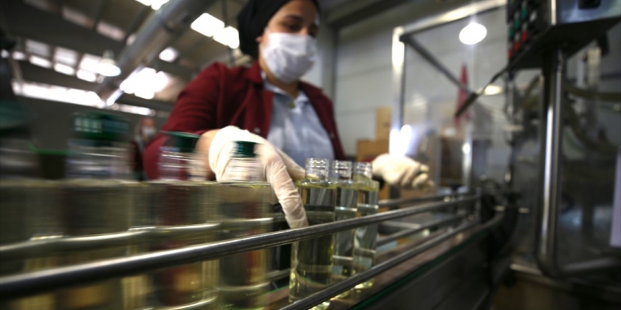 Türkiye'nin Kolonya İhracatı Yılın İlk Yarısında Rekor Seviyeye Ulaştı