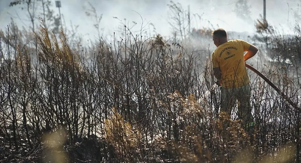 Balıkesir'de fidanların bulunduğu yetiştirme sahasında orman yangını
