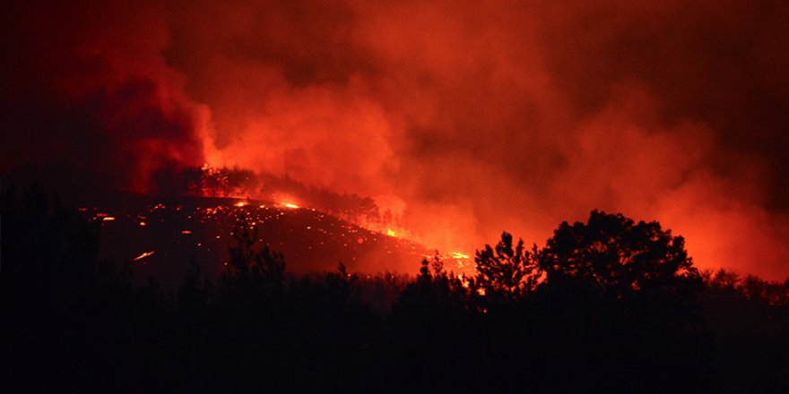 Adana Valisi Elban: Kozan'daki orman yangınında kundaklama olduğunu tahmin ediyoruz