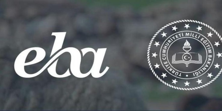 DESAM: TÜRKİYE PANDEMİ DÖNEMİNİ UZAKTAN EĞİTİMLE DEVAM ETTİRMELİDİR!