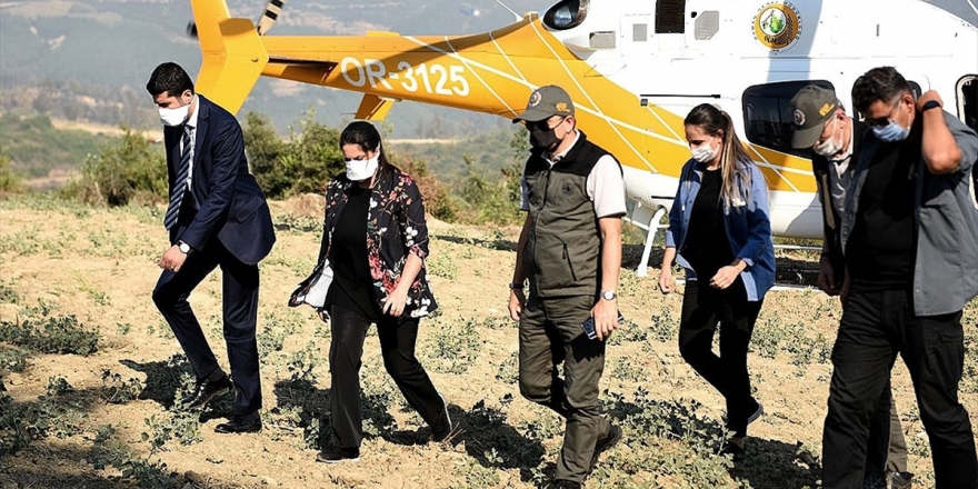 Tarım Ve Orman Bakanı Pakdemirli'nin Kozan Yangını Mesaisi Devam Ediyor