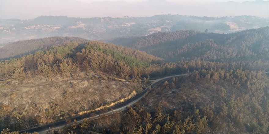 Bakan Pakdemirli: Adana Kozan'daki Orman Yangını Kontrol Altına Alındı
