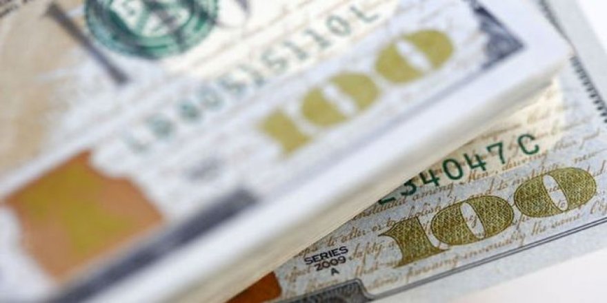 İç borçlanmada dövizin payı artıyor