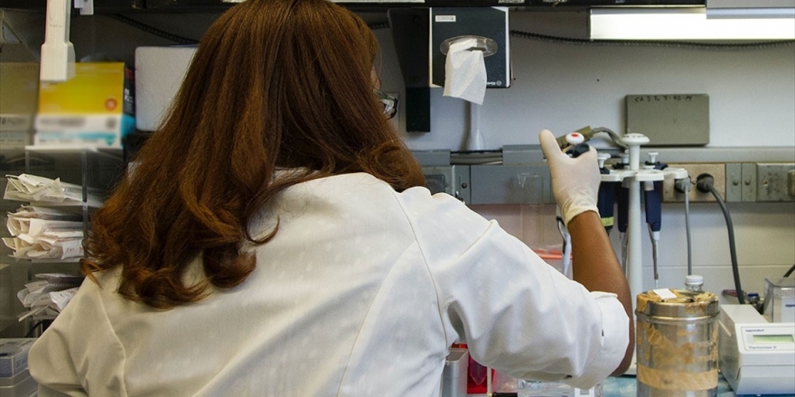 Astrazeneca Kovid-19'a Karşı Sentetik Antikor İlacının Denemelerine Başladı