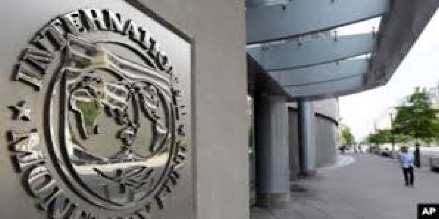 IMF’nin Stratejisini Türk Ekonomist Belirleyecek
