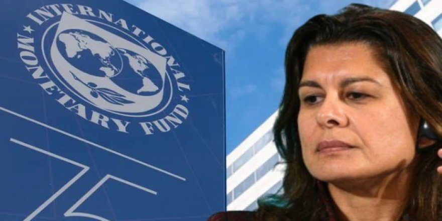Ceyla Pazarbaşıoğlu'na IMF'den üst düzey görev