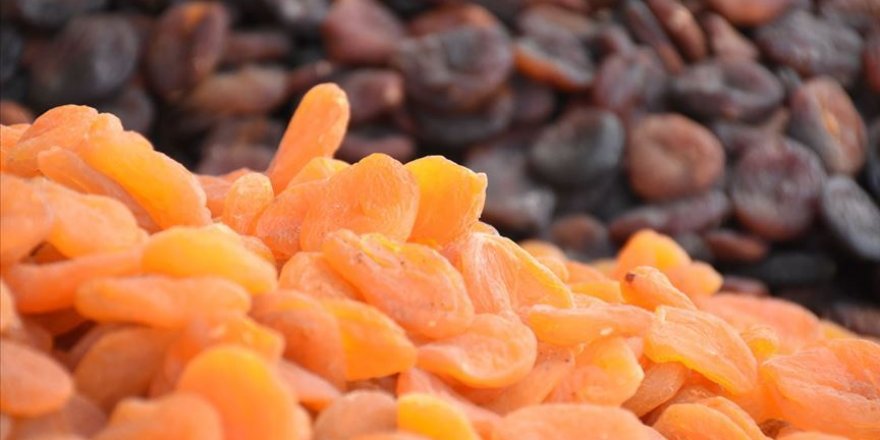 Malatya'da üretilen kuru kayısının yüzde 40'ı Ege'den ihraç ediliyor