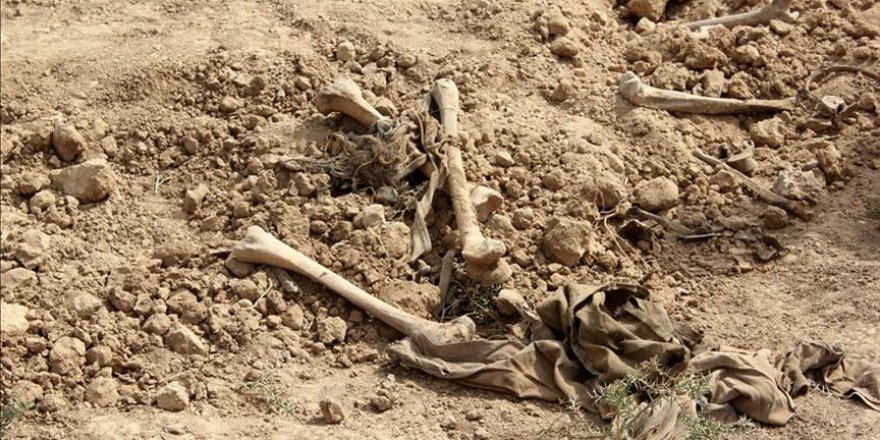 Japonya'nın Osaka kentindeki toplu mezar bulguları 1800'lerdeki bir salgına işaret ediyor