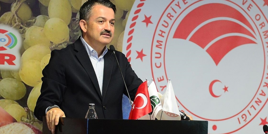 Bakan Pakdemirli: Bugüne Kadar Teslim Edilen Fındıklar İçin Cuma Ödeme Yapacağız