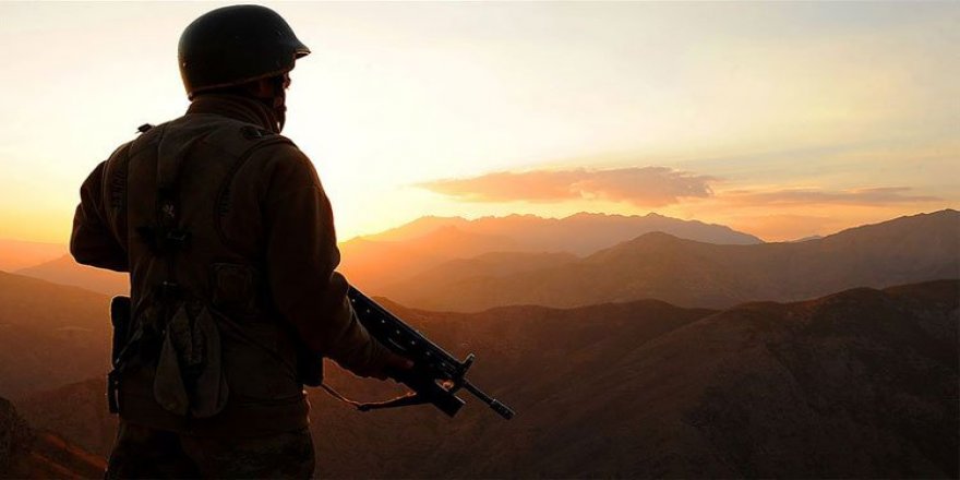 Mardin'de bir terörist güvenlik güçlerine teslim oldu