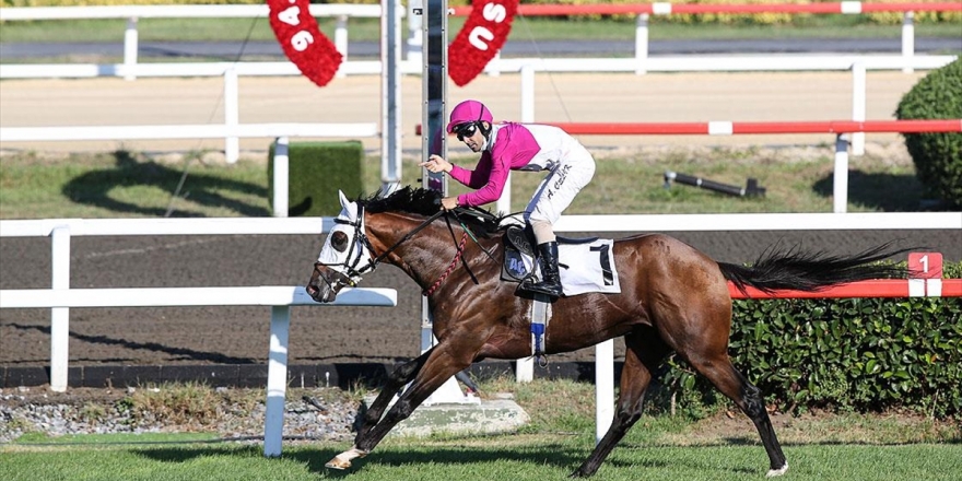 Gazi Koşusu'nda Zafer 'Call To Victory'nin