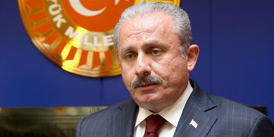 TBMM Başkanı Şentop, Barış Atay Mengüllüoğlu'nun Darp Edilmesini Kınadı