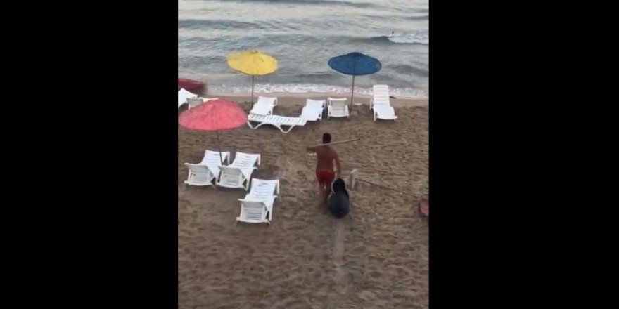 Kuşadası'nda büyük rezillik: Denize dev torbayla çöp atarken böyle yakalandı