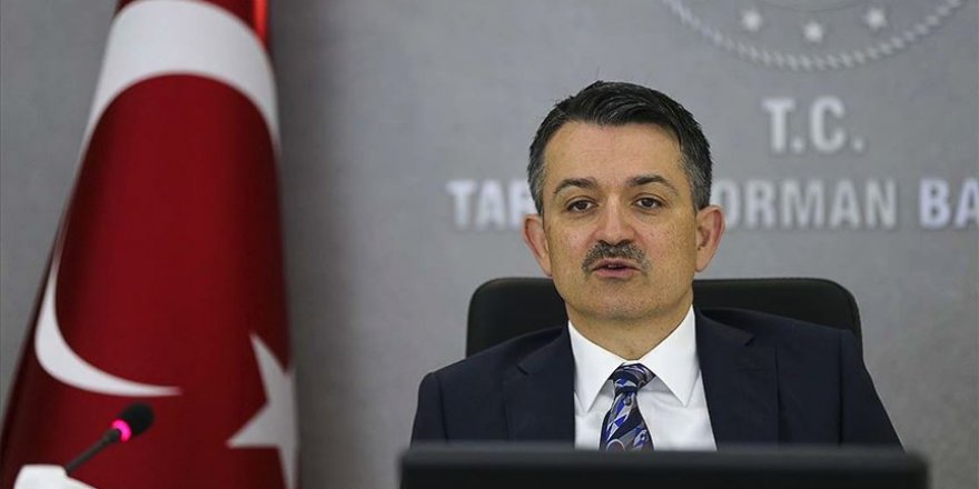 Bakan Pakdemirli: 3,2 milyon lira fındık üreticilerimizin hesaplarına yatırıldı