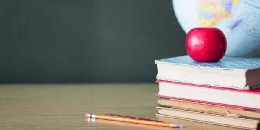 Elveda Tanık yazdı: EĞİTİMDE YENİLİK...