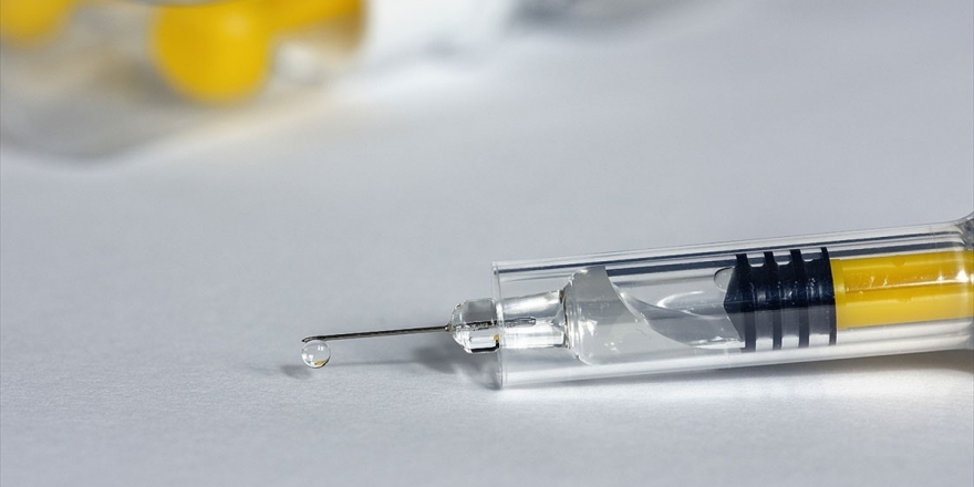 Geniş Çaplı Antikor Araştırması Kovid-19 Aşısı İçin Ümidi Artırdı