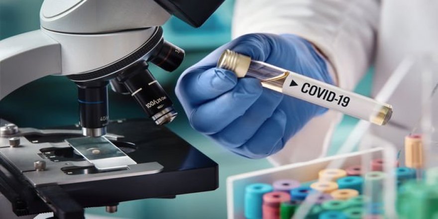 Dünya genelinde Kovid-19 vaka sayısı 27 milyonu aştı