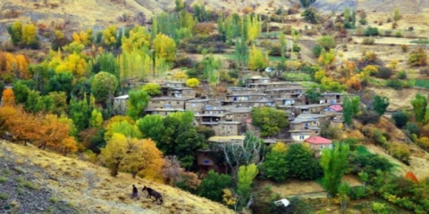 Bitlis'te 24 köy ve mezralarında sokağa çıkma yasağı