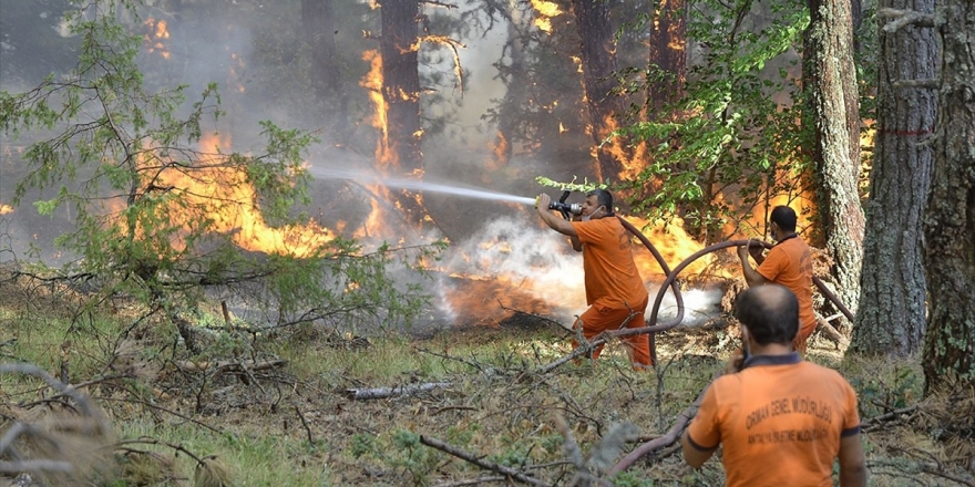 Çorum İle Sinop Arasındaki Orman Yangını Büyük Ölçüde Kontrol Altına Alındı