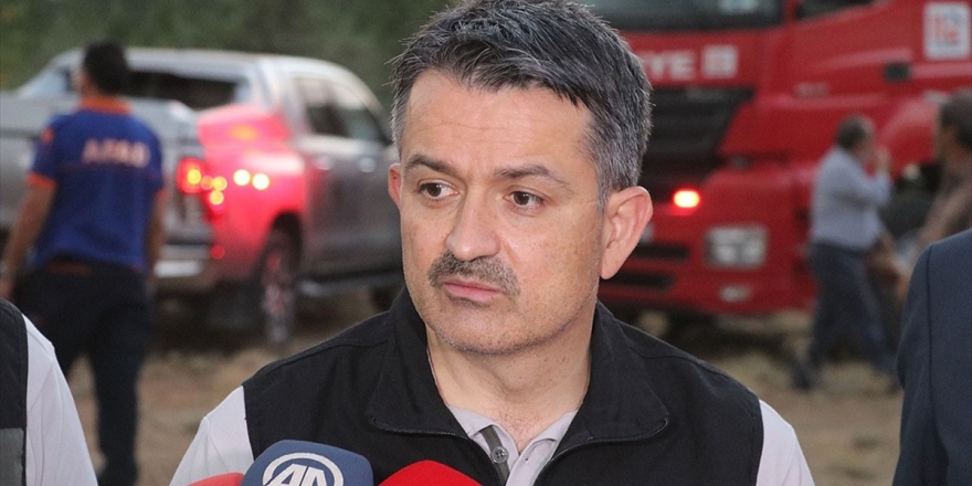 Bakan Pakdemirli: 24 Orman Yangınının 13'ü Kontrol Altına Alındı, 8'i Söndürüldü