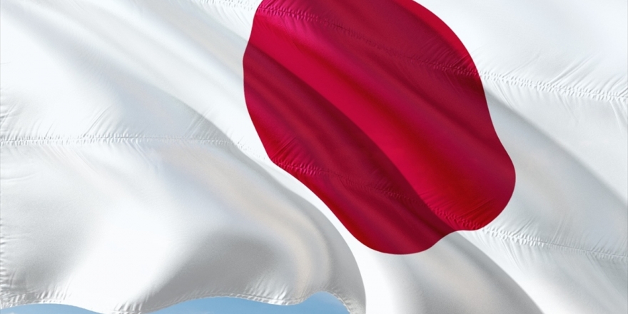 Japonya'da İktidar Partisi LDP'de Liderlik Yarışı Başladı