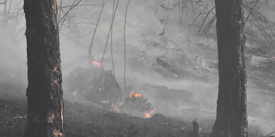Bakan Pakdemirli: Bugün Başlayan 11 Orman Yangınının 10’unu Kontrol Altına Aldık