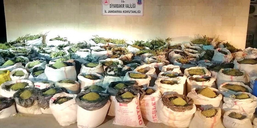 Diyarbakır'da 5 Ton 81 Kilogram Esrar, 14 Milyon 169 Bin 150 Kök Kenevir Ele Geçirildi