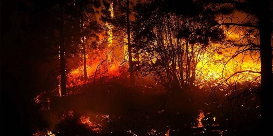 California'da kontrol altına alınamayan orman yangınları etkisini sürdürüyor