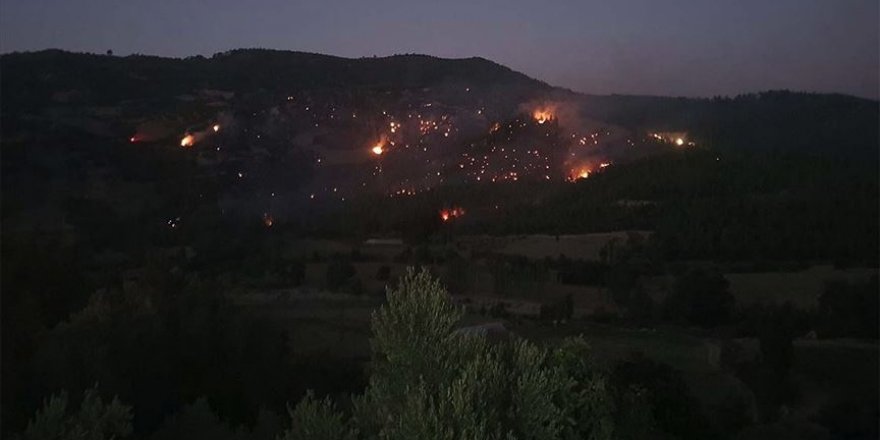 Denizli'deki orman yangını kontrol altına alındı