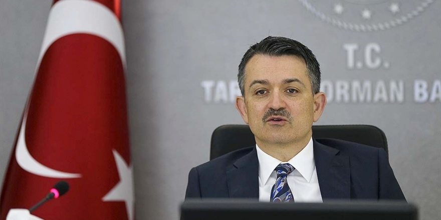 Bakan Pakdemirli: Lisanslı Depo Desteği Kapsamında 16,4 Milyon Lira Destek Ödemesi Cuma Günü Yapılacak