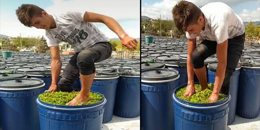 O Görüntülerin Cezası Belli Oldu