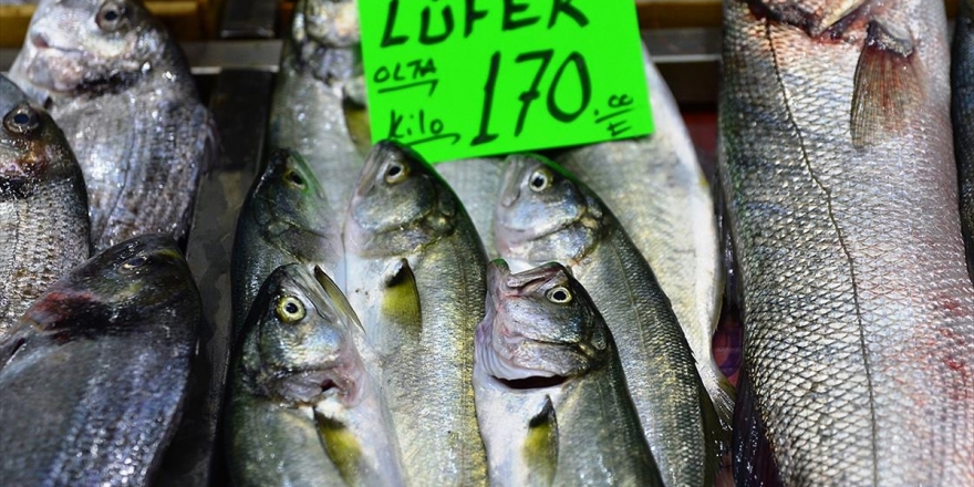 'Denizlerin Prensi' Lüfer Kilogramı 170 Liradan Tezgahta