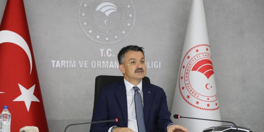 Pakdemirli Tarım, Orman Ve İnsan Fotoğraf Yarışması Ödül Töreni'nde Konuştu