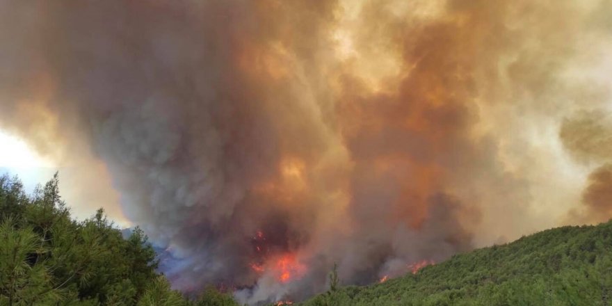 Hatay'daki Orman Yangınının Neden Söndürülemediği Ortaya Çıktı