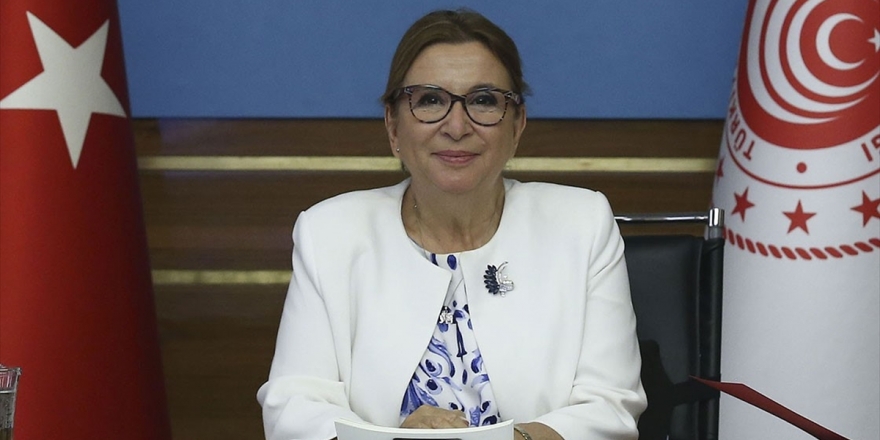 İşletmelere Akreditasyon Belgelendirme Ücretlerinde Kolaylık Sağlanacak