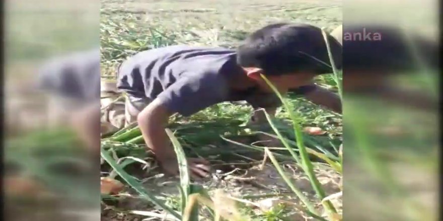 Kum Fırtınasının Ortaya Çıkardığı Gerçek