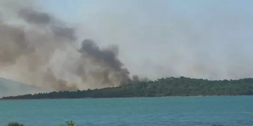 Ayvalık'ta orman yangını!