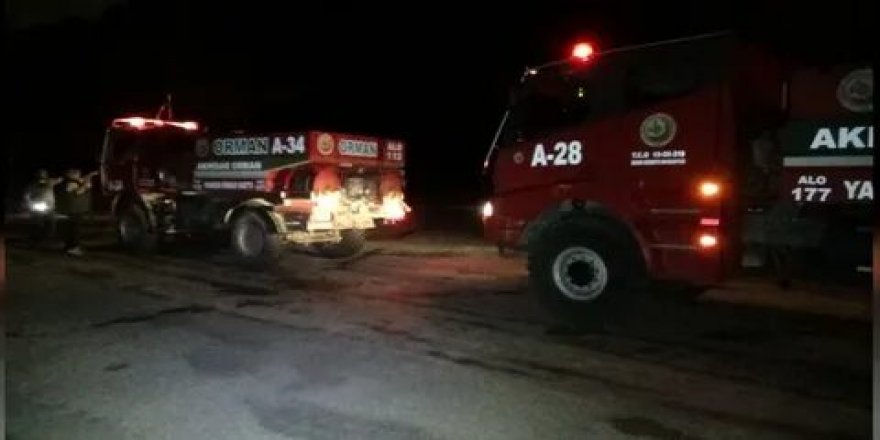 Ayvalık’taki orman yangını kontrol altına alındı