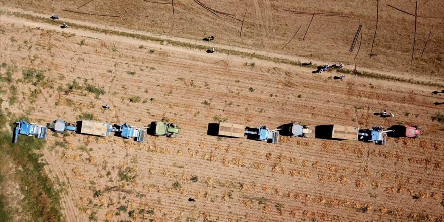 Çiftçi Uydu Verilerine Göre Traktör Kullanacak