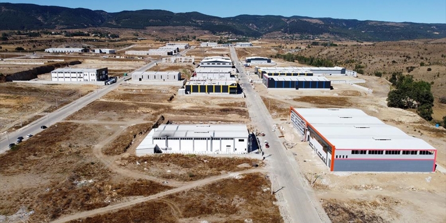 Bolu'da 'Helal Jelatin' Üretimi İçin Fabrika Kuruluyor