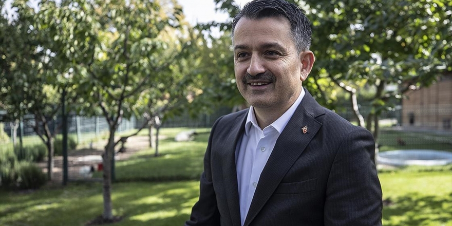 Şırnak'ta Yer Fıstığı Üretiminde Rekor Artış