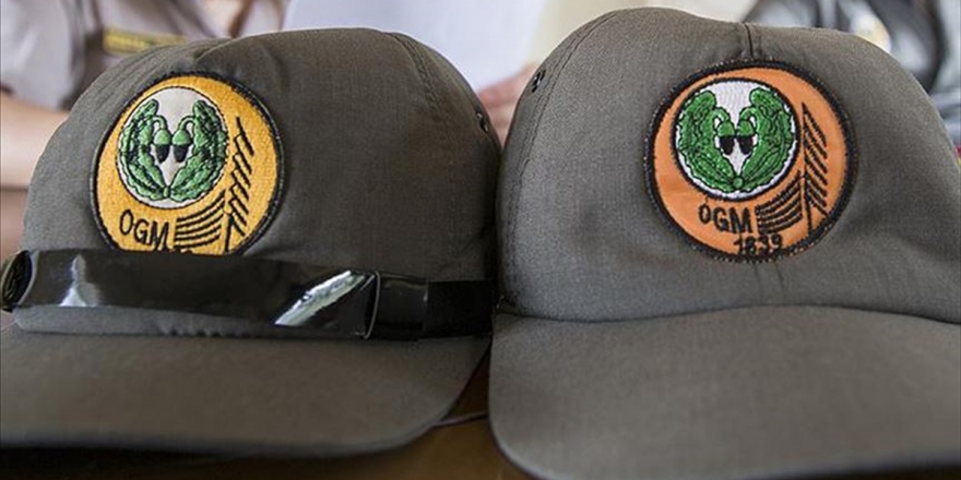 Orman Genel Müdürlüğü 274 Daimi İşçi Alacak