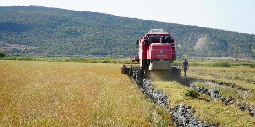 Gıda Enflasyonuyla Sözleşmeli Üretim Ve Nöbetleşe Ekimle Mücadele