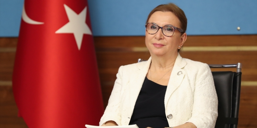 Ticaret Bakanı Pekcan: Eylül İhracatımız 16 Milyar 13 Milyon Dolar