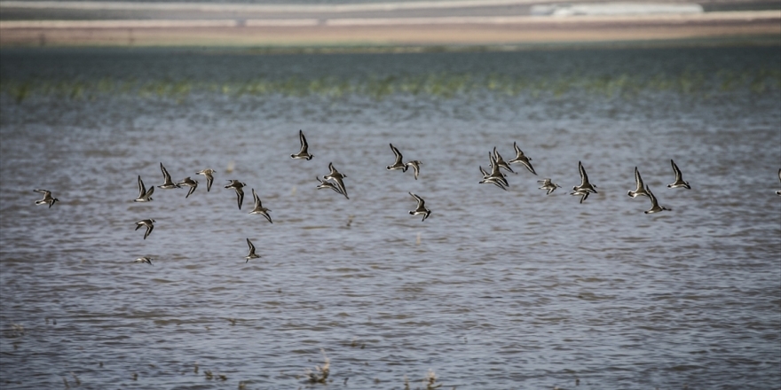 Cumhurbaşkanı Erdoğan'dan Reyhanlı Barajı Paylaşımı