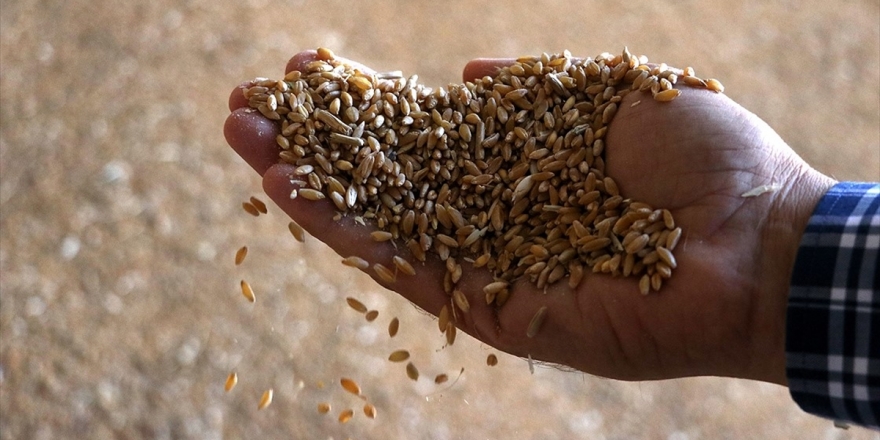 Sertifikasız Tohum Uyarısı