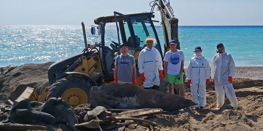 Antalya'da Karaya Vuran Kaşalot Balinası, Bilimsel Çalışmalar İçin İstanbul'a Getirildi