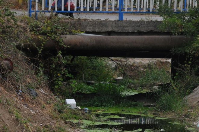 'İlk defa böyle bir şey görüyorum'